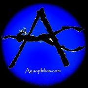 Aquaphilias avatar