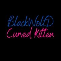 BwolfDandcurvykitten avatar