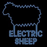 ElectricSheepies avatar