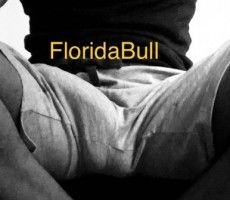 FloridaBull avatar