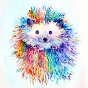 HedgehogCuddles avatar