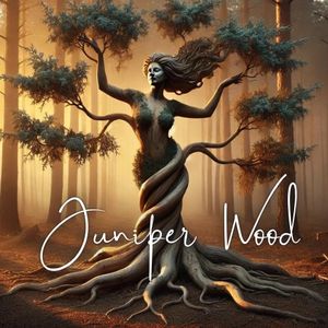 JuniperWood avatar