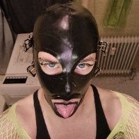 LatexFemboy avatar