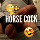 The Horse Cock