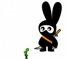 Ninja Bunny avatar