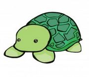 OMGATURTLE avatar