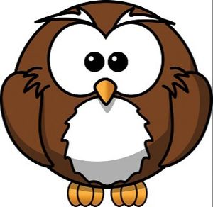 Old22Owls avatar