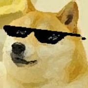 PervyDoge avatar