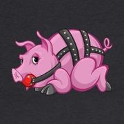 Pig12XI avatar