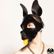 PuppyDavey avatar