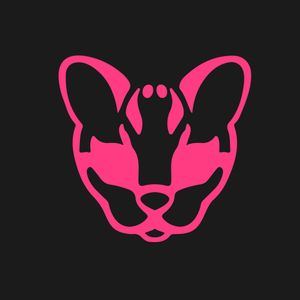 RockerOcelot avatar