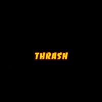 ThrashHub avatar