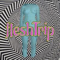 fleshtrip avatar