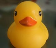 g0tDuck avatar