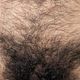 hairydudee