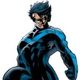 nightwingallday