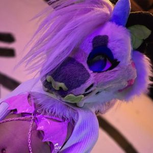 smolkinkykitten avatar