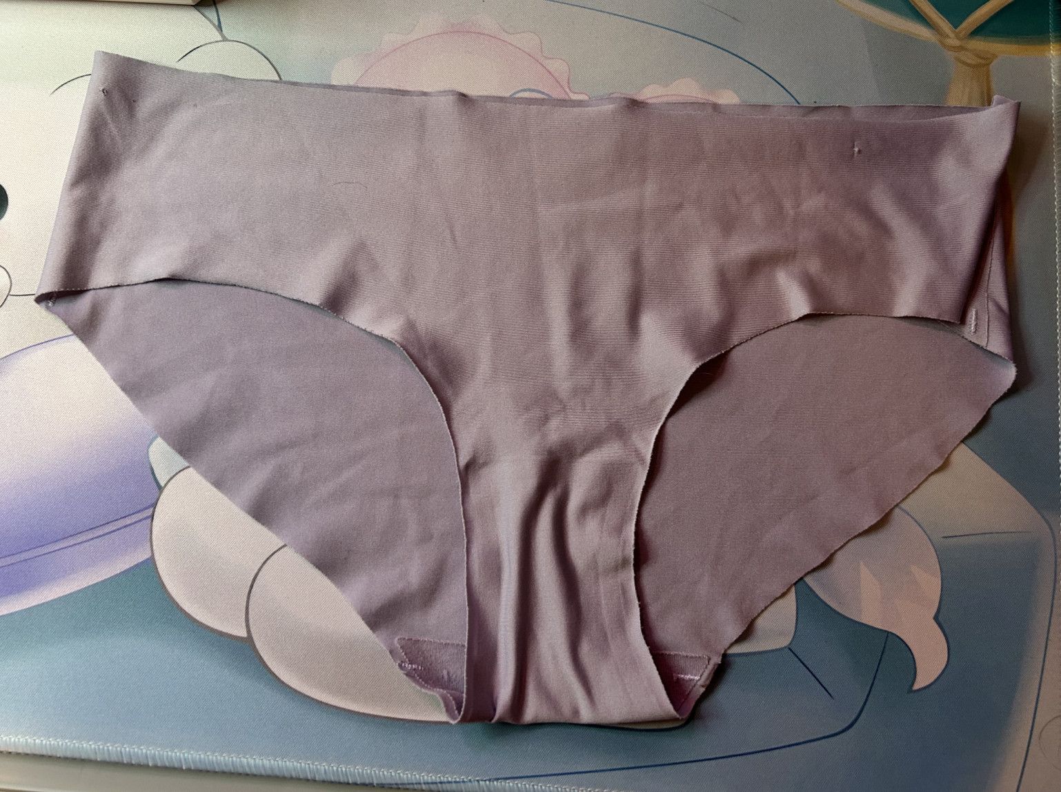 Silky Light Purple Panties