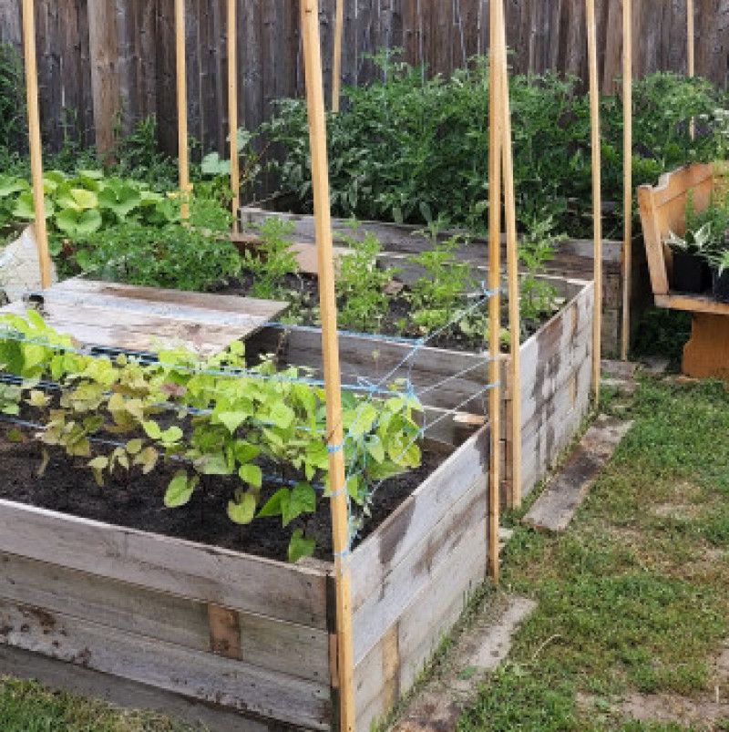 Naked Gardening