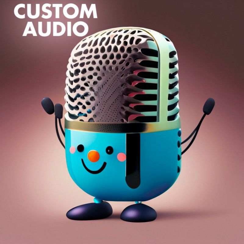 CUSTOM AUDIO