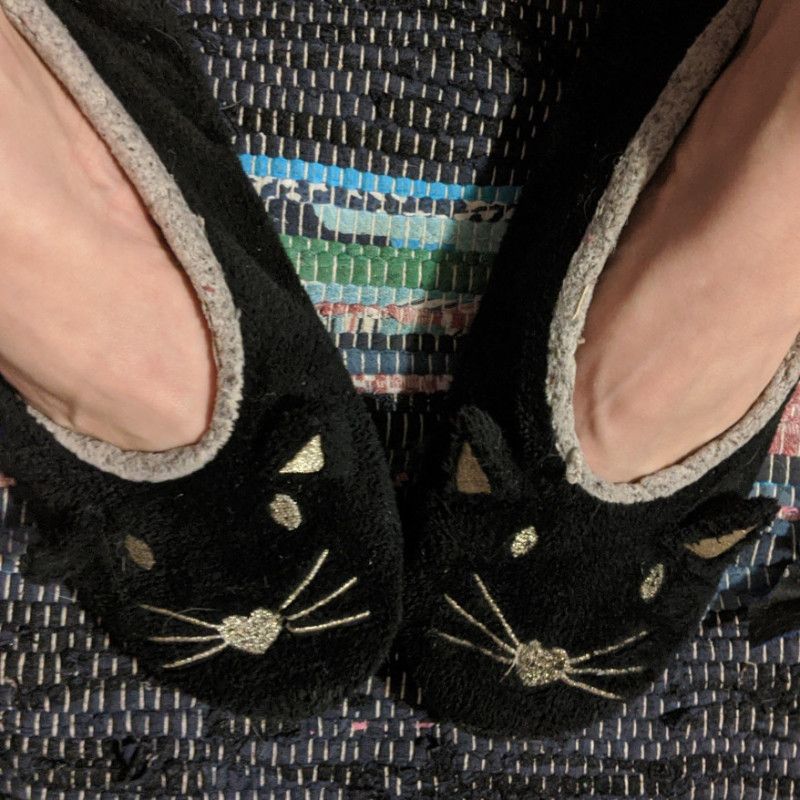 Worn Cat Slippers Shoes