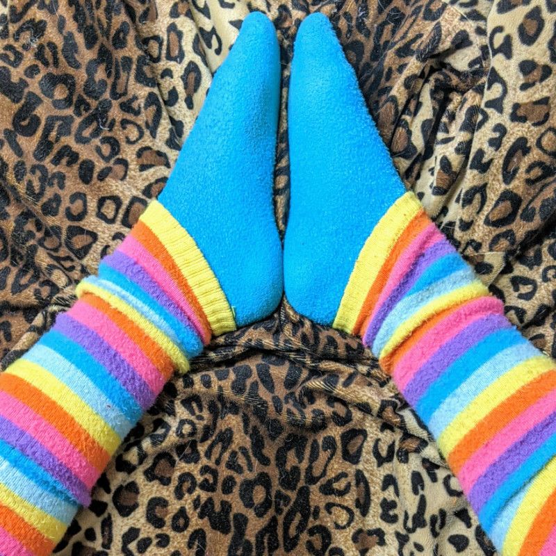 Rainbow Stripe Leg Warmers Worn in Vids