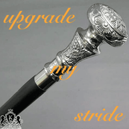 upgrade my stride 1