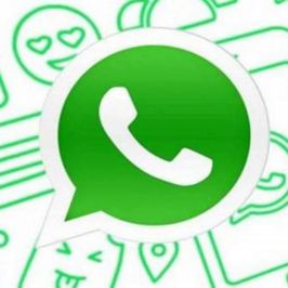 my whatsapp