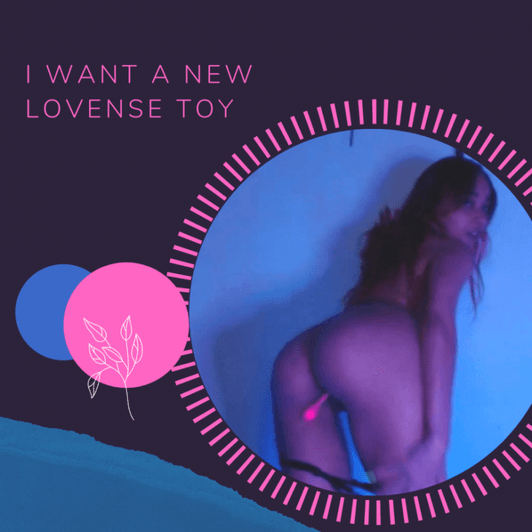 Give me a lovense toy