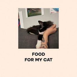 Food for my favorite cat