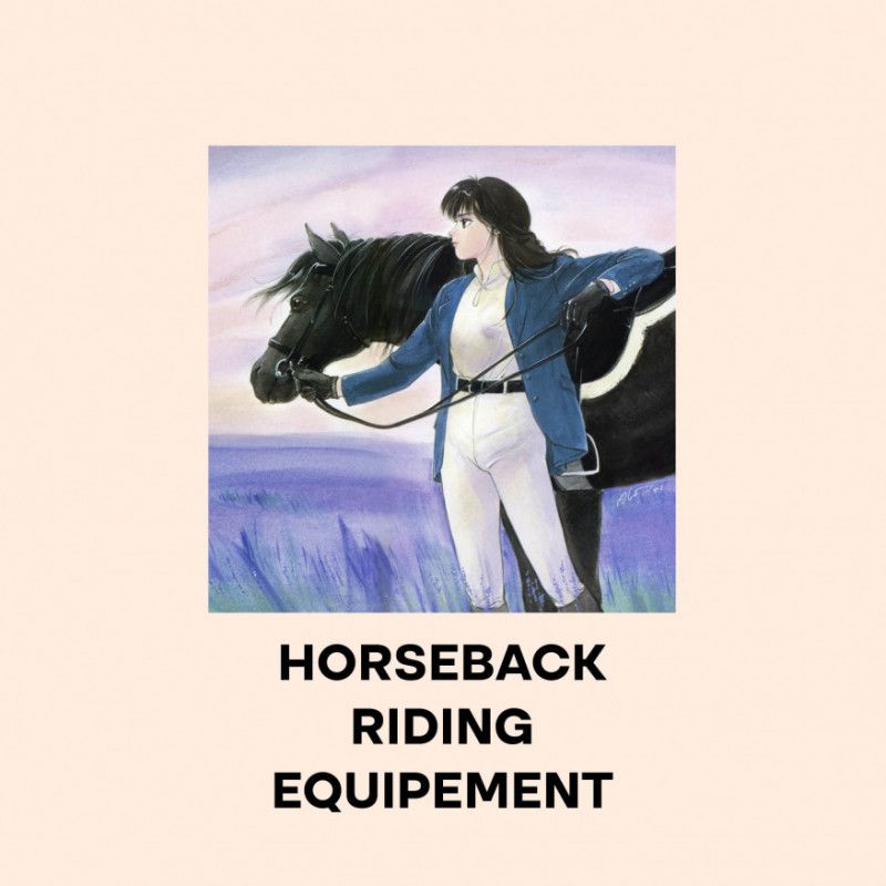 Horseback Riding Equipement