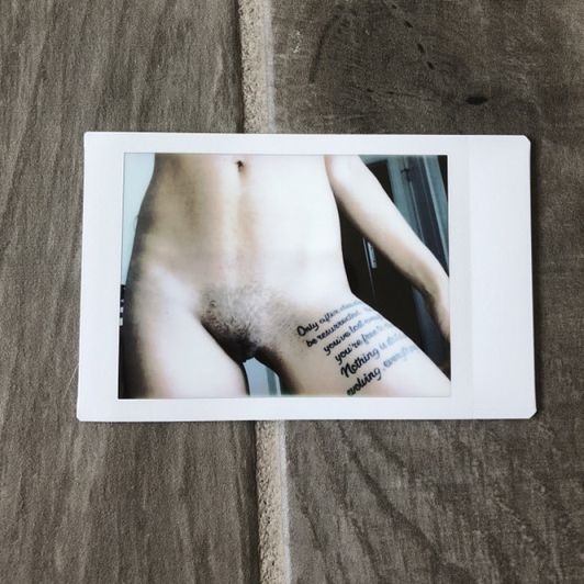 Bush Polaroid