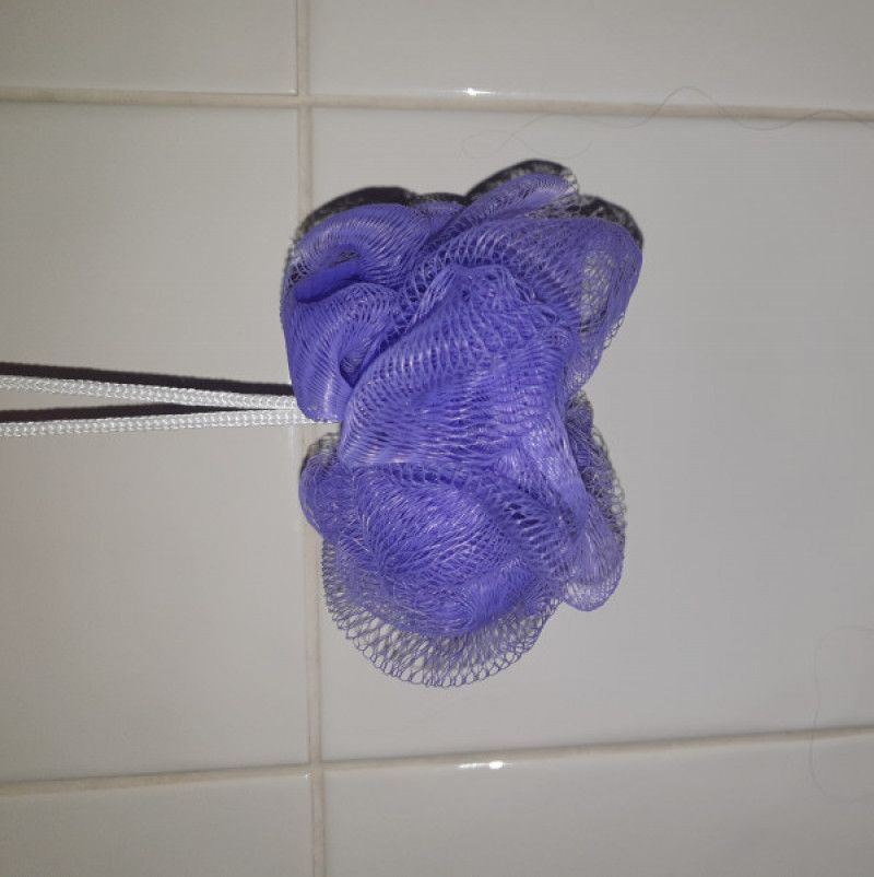 Used Shower Sponge