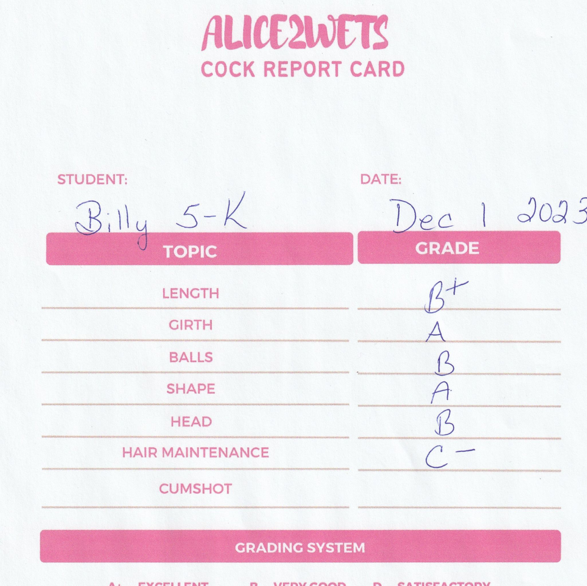 Hand written Cock Report Card