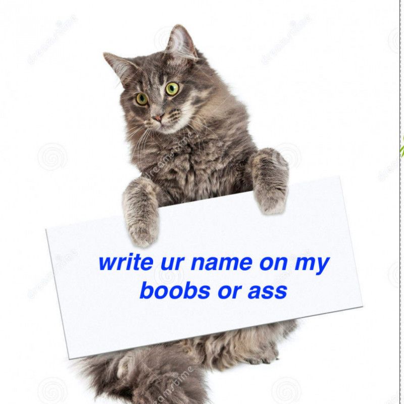 write ur name on my boobs or ass