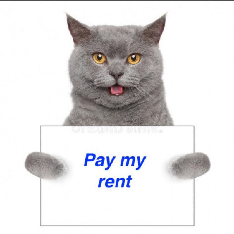 Pay my rent