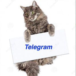 Telegram