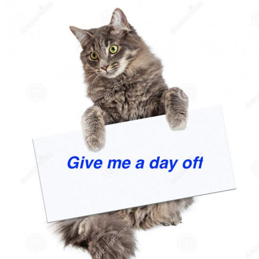 Give me a day off