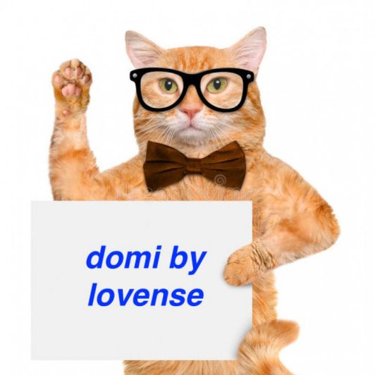 DOMI by Lovense for me
