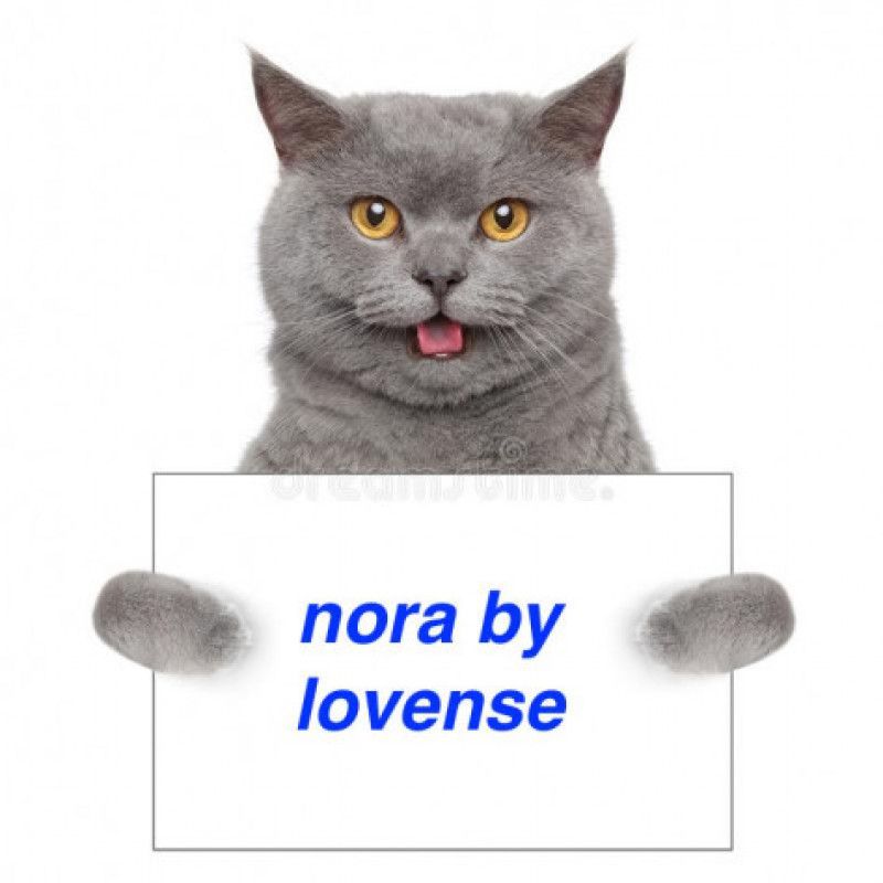 NORA by Lovense for me