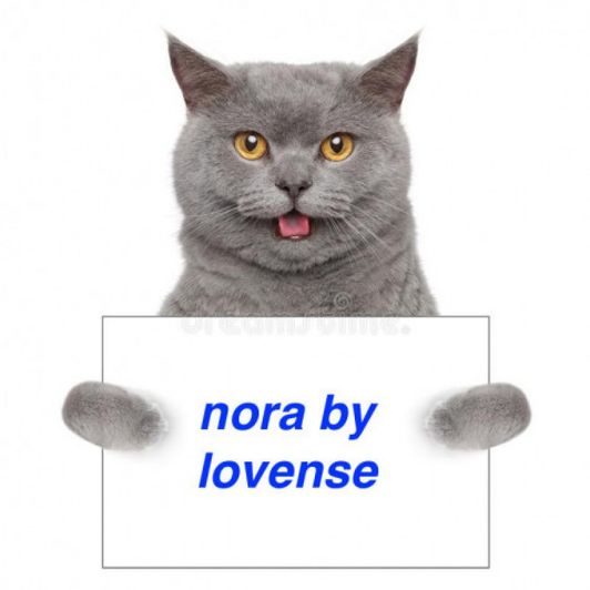 NORA by Lovense for me
