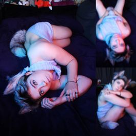 Gray Wolf Photoset