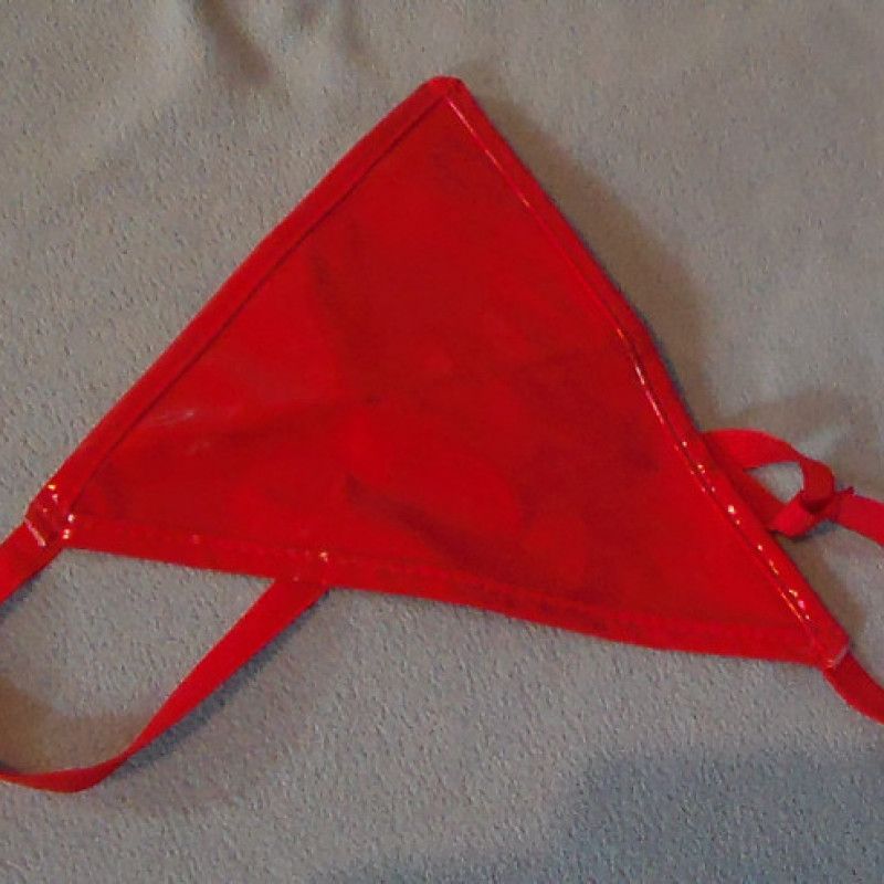 Red Latex Thong