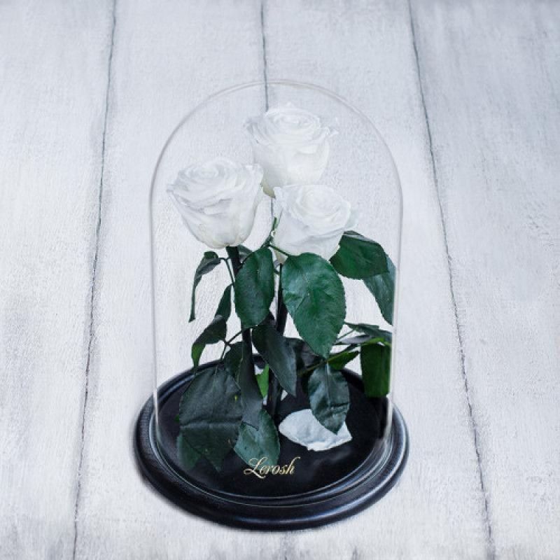 White red roses in a Lerosh flask