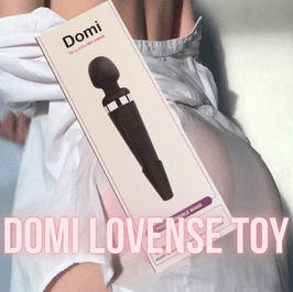 New Lovense toy