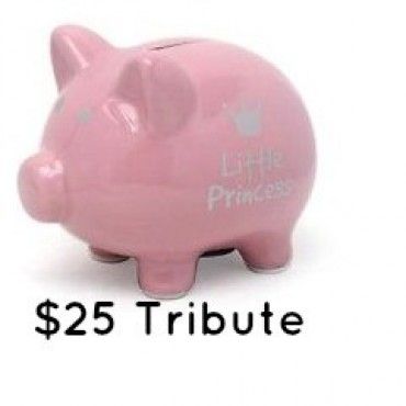 25 dollar tribute