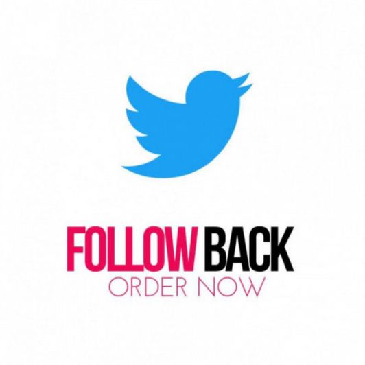Follow back on Twitter