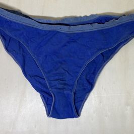 Dirty blue panties