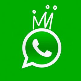 Whatsapp For Life