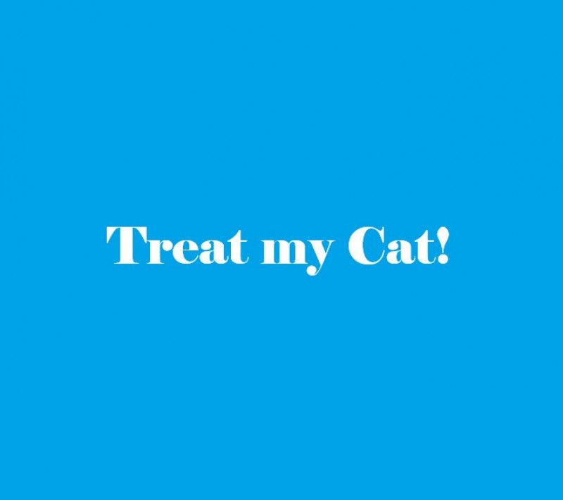 Treat My Cat